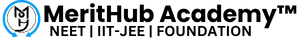 merithub logo